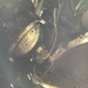Illustration for article titled Everything Wrong With My 2002 BMW 325i (And maybe you can help!)